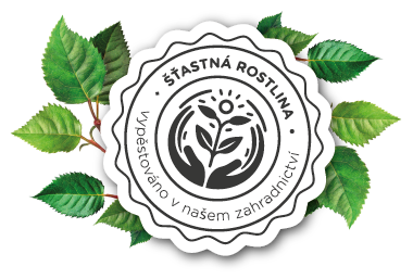 STASTNA_ROSTLINA_Kreslicí plátno 1